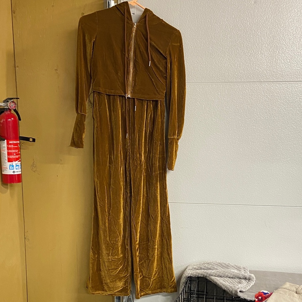 SHEIN Brown Velvet Long Sleeve Dress